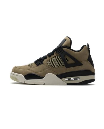 Air Jordan 4 Retro Fossil (W) AQ9129-200