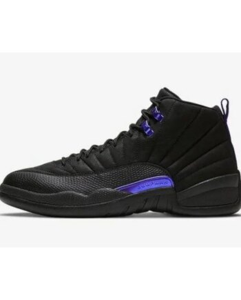 Air Jordan 12 Retro Black Dark Concord CT8013 005